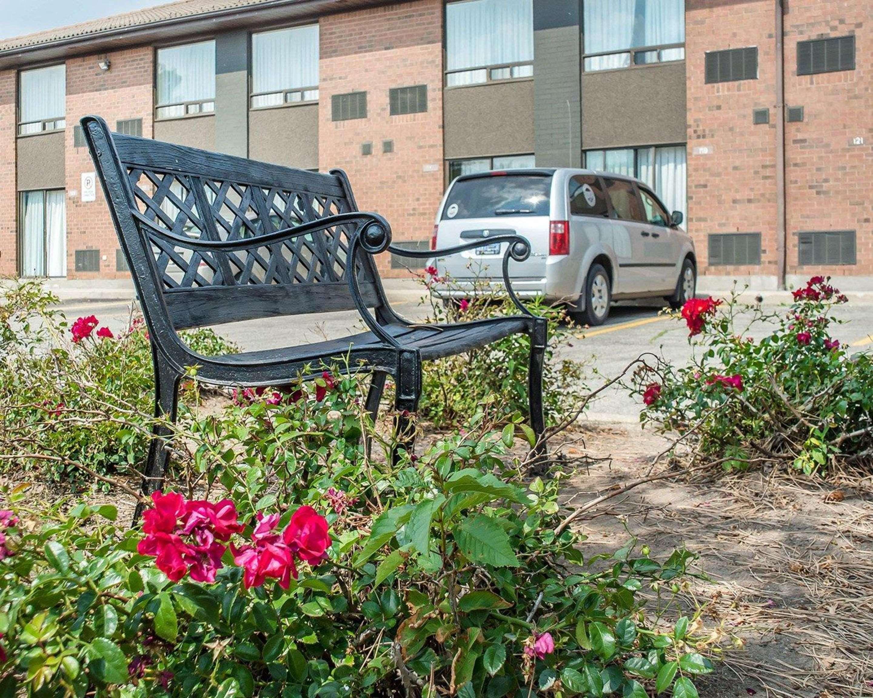 Comfort Inn Ватерлоо Екстер'єр фото